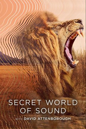 Poster for Secret World of Sound with David Attenborough